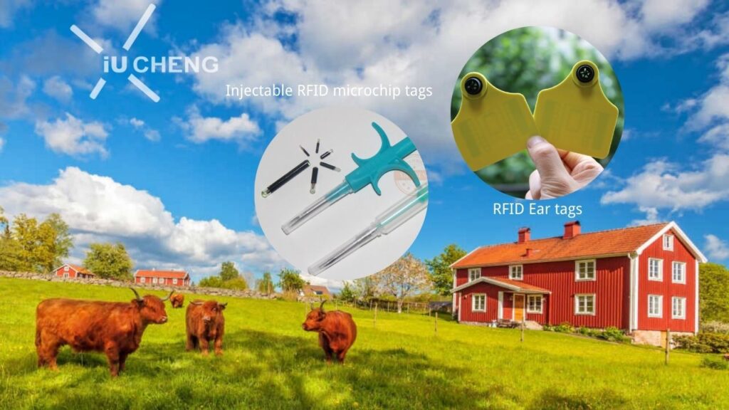 Etiquetas RFID para animais para explorações agrícolas 1