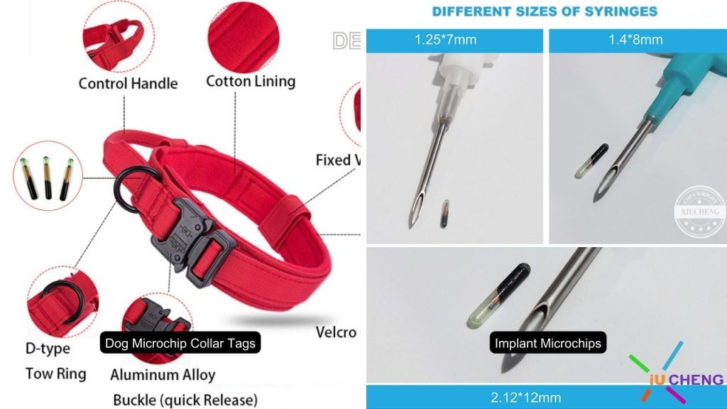 Etiqueta RFID de coleira ou microchip implantado