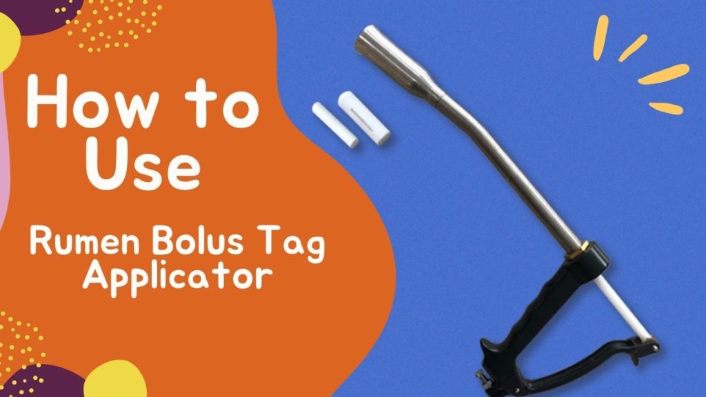 Applicateur d'étiquettes pour le bol alimentaire dans le rumen 1